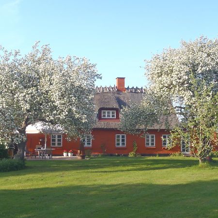 SoegaardensBB Bed and Breakfast Stenlose Buitenkant foto