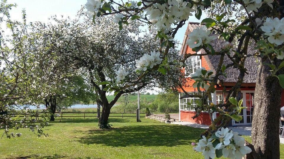 SoegaardensBB Bed and Breakfast Stenlose Buitenkant foto