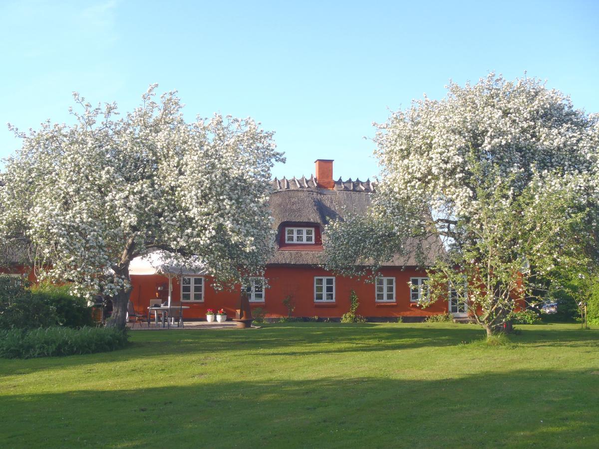 SoegaardensBB Bed and Breakfast Stenlose Buitenkant foto
